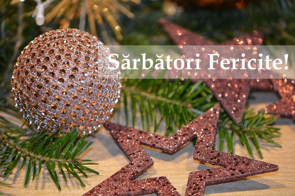 sarbarori-fericite3