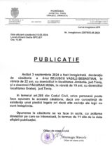 Declaratie de casatorie Bejuscu Vasile Sebastian-Pacurar Irina-1449x2048