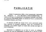 Declaratie de casatorie Bejuscu Vasile Sebastian-Pacurar Irina-300x211