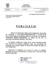 Declaratie de casatorie Anca Sebastian Ilie-Tiponutiu Maria Alexandra-1449x2048