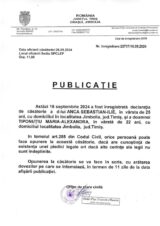 Declaratie de casatorie Anca Sebastian Ilie-Tiponutiu Maria Alexandra-724x1024