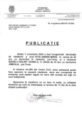 Declaratie de casatorie Vitai Andrei Mihai-Szekely Balint Daniela-724x1024