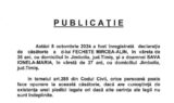 Declaratie de casatorie Fechete Mircea Alin-Sava Ionela Maria-690x412