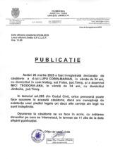 Declaratie de casatorie Lupu Corin Marian-Mici Teodora Ana