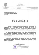 Declaratie de casatorie Nicu Atius-Mitroi Andra Iasmina