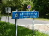 HPIM6200.JPG