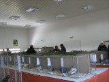 IMG_4521.JPG