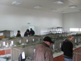 IMG_4534.JPG
