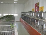 IMG_4535.JPG