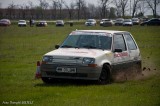 raliu_2010-8.jpg