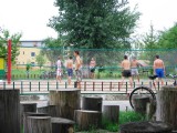 Picture010c.jpg