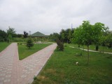 Picture050.jpg