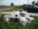 DSCN0099.JPG