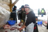 iGNAT2010016.jpg