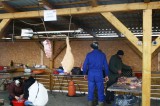 iGNAT2010020.jpg