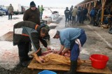 iGNAT2010021.jpg