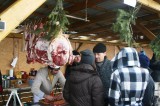 iGNAT2010035.jpg