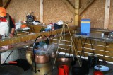 iGNAT2010040.jpg