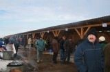 iGNAT2010065.jpg
