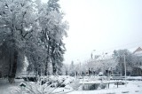 Jimboliaiarna013.jpg