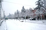 Jimboliaiarna019.jpg
