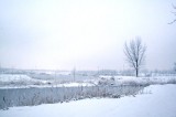 Jimboliaiarna029.jpg