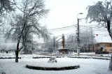 Jimboliaiarna032.jpg