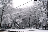 Jimboliaiarna051.jpg