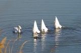 165709_129137270484964_100001660753732_207852_7403127_n.jpg