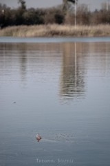 balta-34.jpg