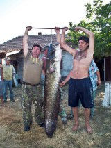 peste-5.jpg