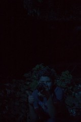 jimbo_blues_33_resize.jpg